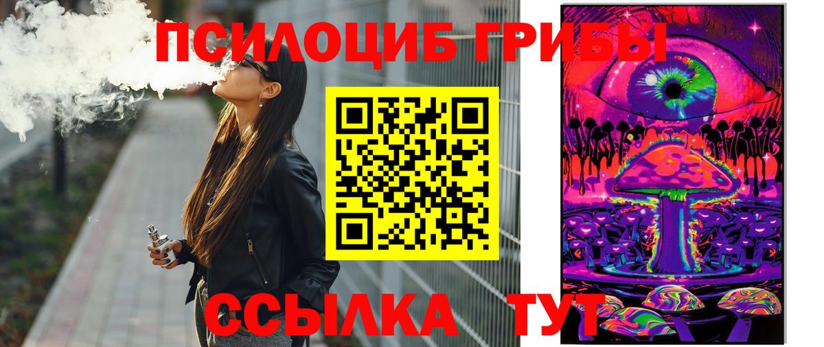 Псилоцибиновые грибы мицелий Черняховск