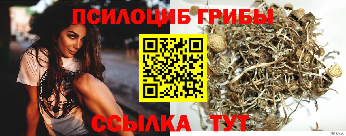 Меф мяу мяу Черняховск