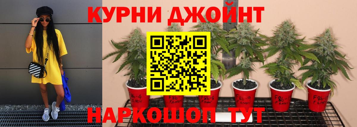 Канабис гибрид Черняховск